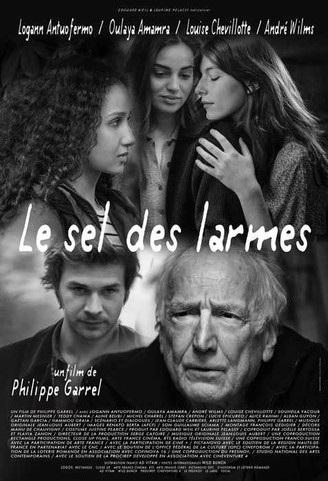 5SELDESLARME 20 WilmsTint